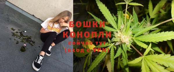 спайс Костерёво