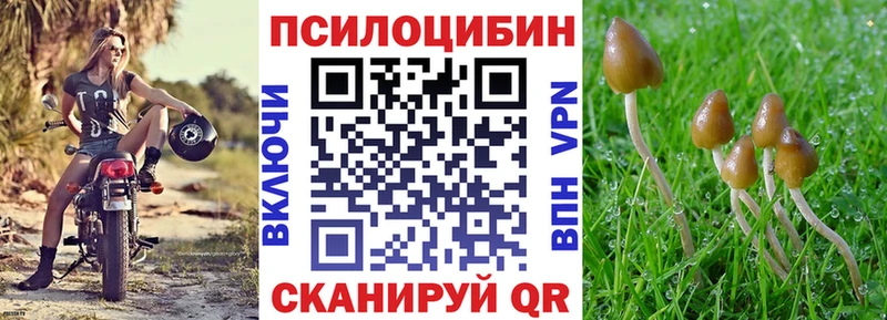 закладки  Альметьевск  Галлюциногенные грибы ЛСД 