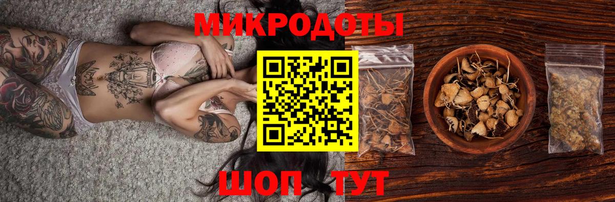 магазин продажи наркотиков  Вход с VPN  Альметьевск  Галлюциногенные грибы Psilocybine cubensis 