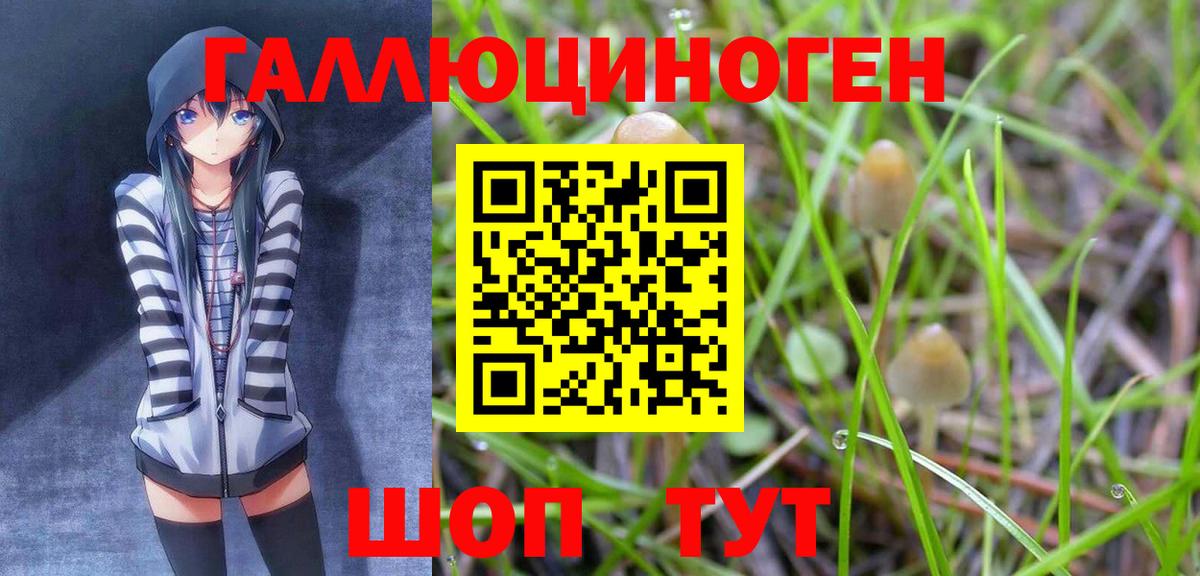 Галлюциногенные грибы прущие грибы Альметьевск