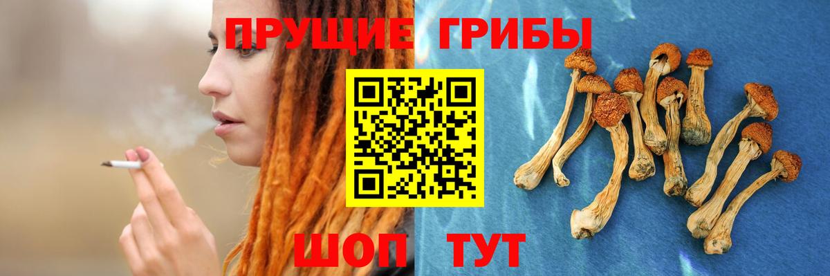 Галлюциногенные грибы Magic Shrooms Альметьевск