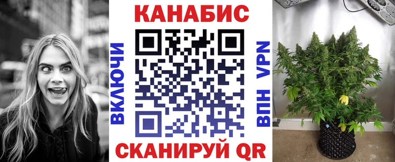 Конопля ГИДРОПОН  купить наркоту  Альметьевск 